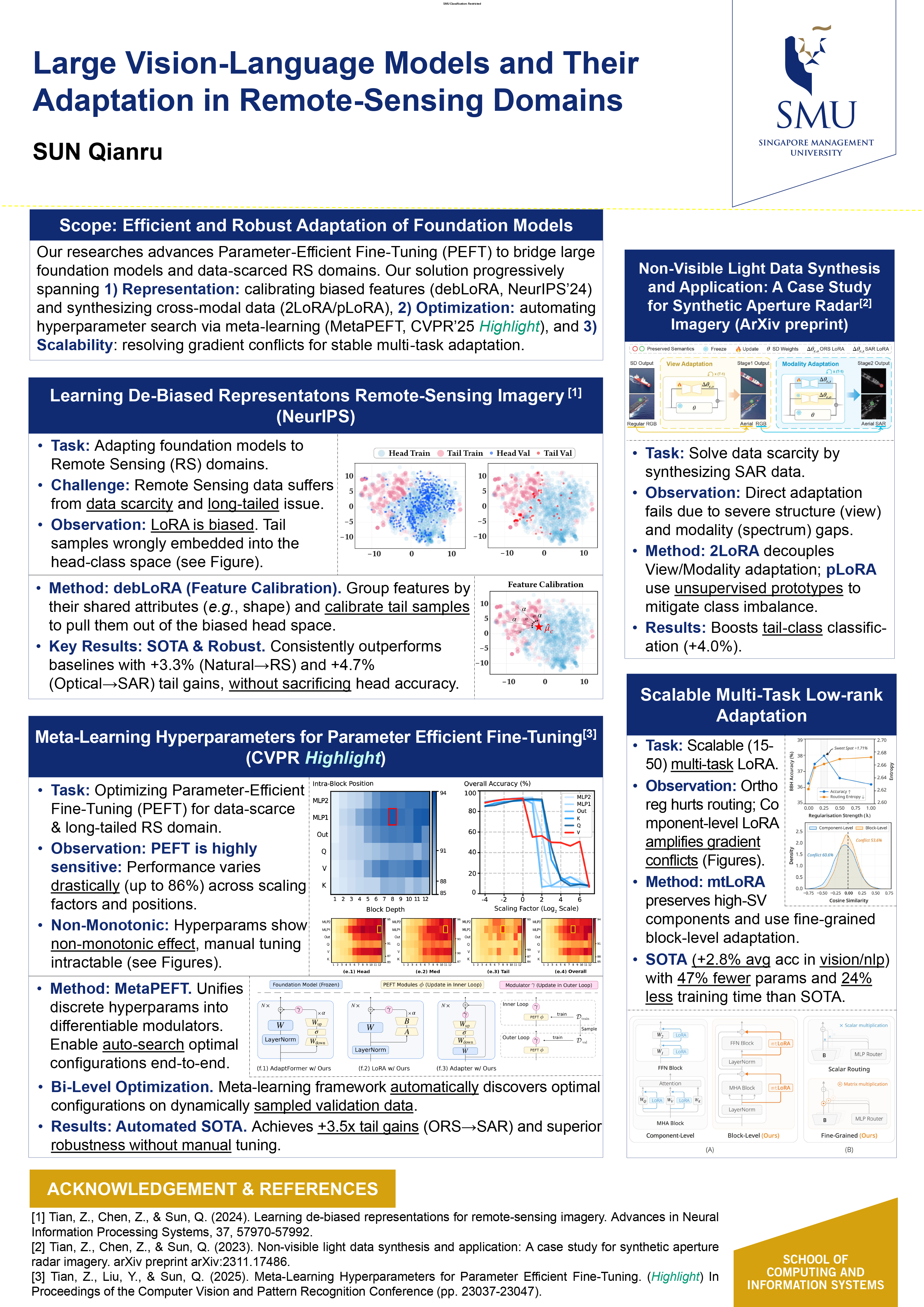 Large Vision-Language Models and Their Adaptation in Remote-Sensing Domains