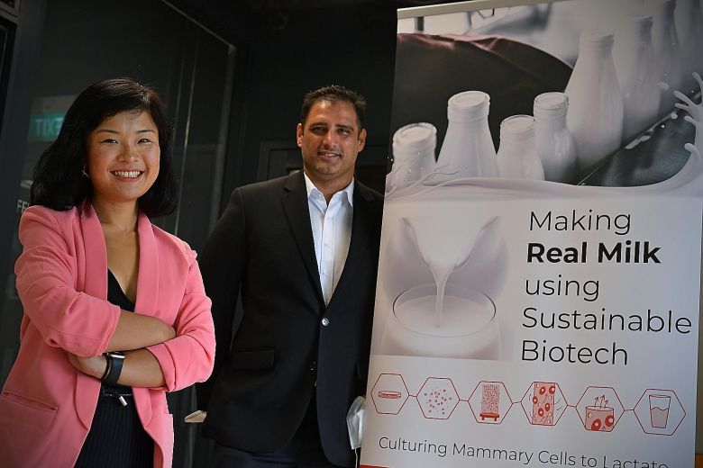 Start-ups' innovative ideas: Lab-made milk, matching migrant workers to jobs