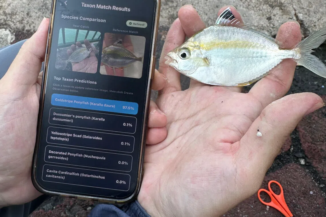 angler-pokedex