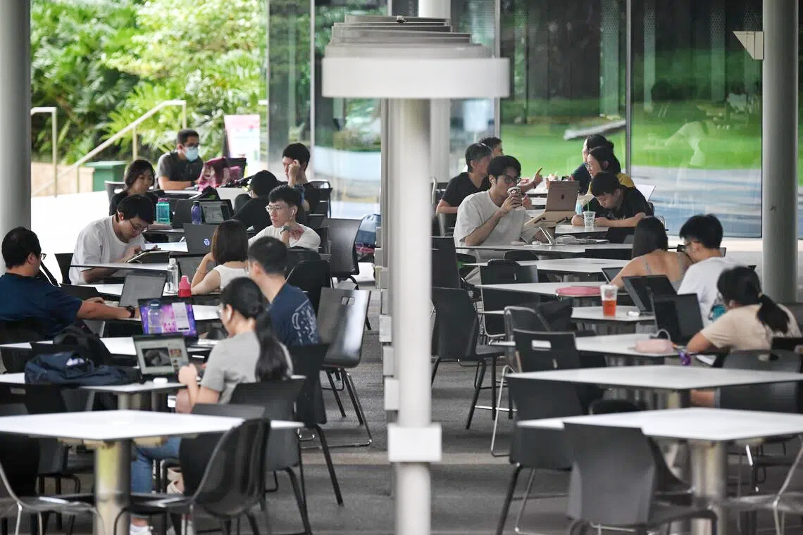 outdoor-study