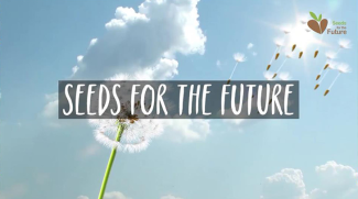 Huawei, IMDA collaborate on Seeds for the Future program